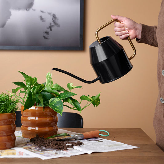Watering Can Black & Gold
