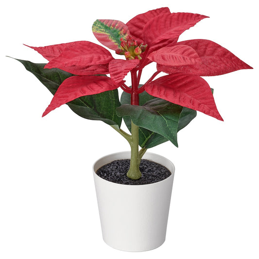 Artificial Plant - Poinsettia Red - 6cm