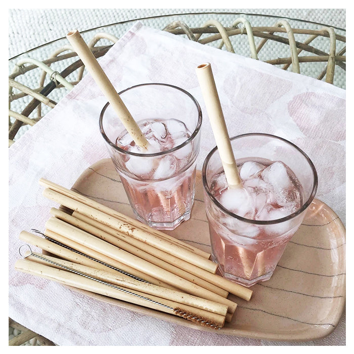 Bamboo Drinking Straw With Cleaning Brush