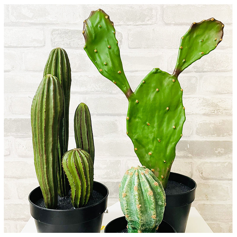 Artifical Plant Large Cactus 3-Pk