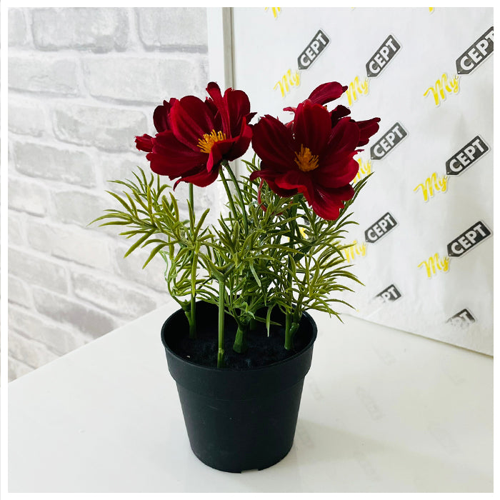 Artifical Plant Cosmos Red