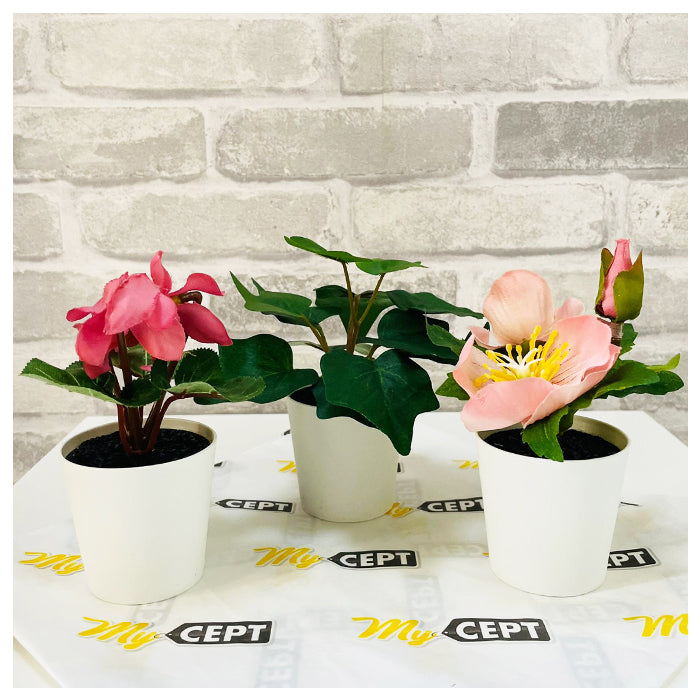 Artificial Plant Pack of 3 Green/Pink