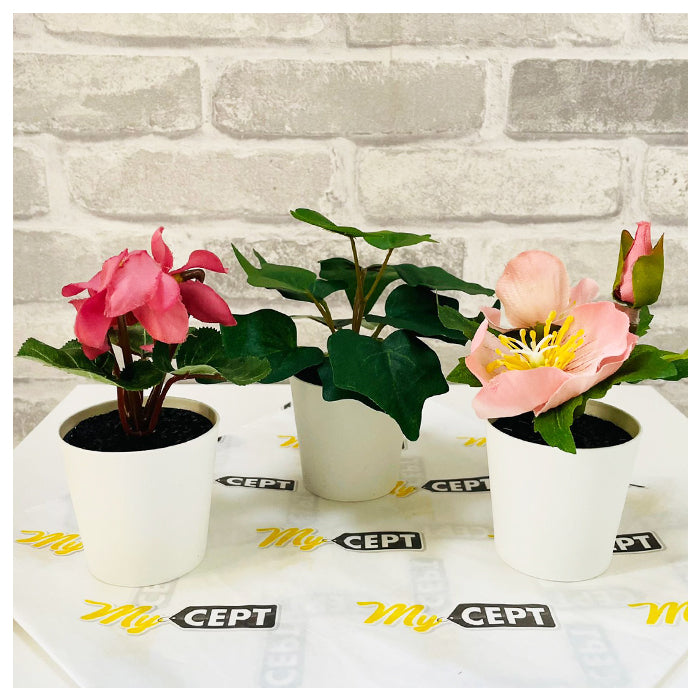 Artificial Plant Pack of 3 Green/Pink