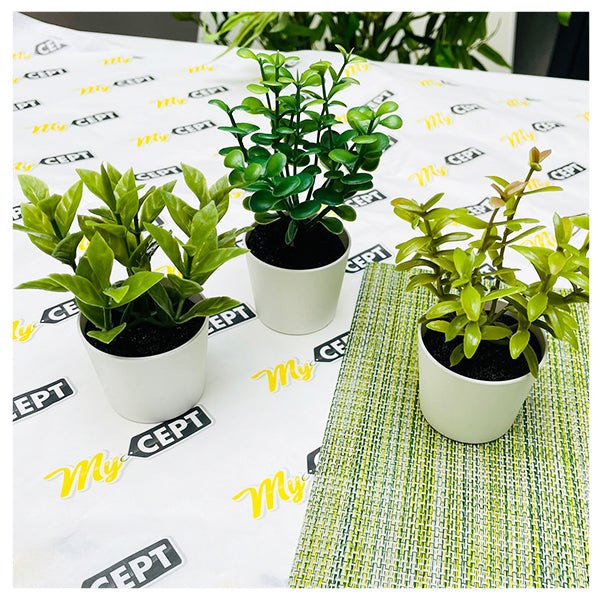 Decorations – MyCept