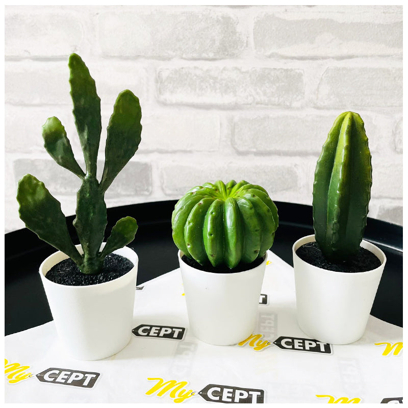 Artificial Plants - Pack of 3 - Cactus