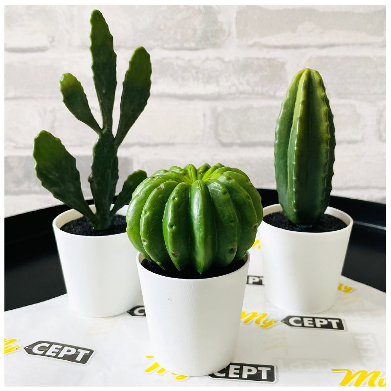 Artificial Plants - Pack of 3 - Cactus
