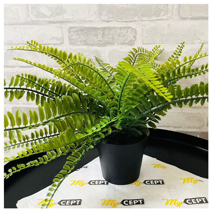 Artificial Plant - Outdoor Fern