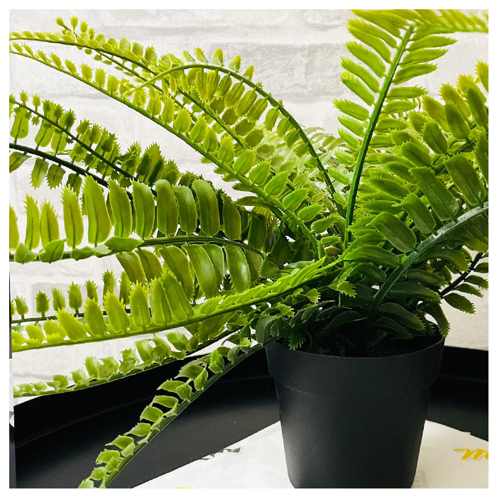 Artificial Plant - Outdoor Fern
