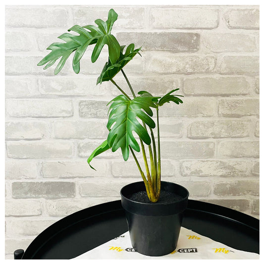 Artificial Plant - Philodendron