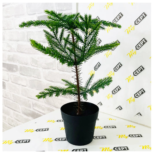 Artificial Plant Norfolk Pine