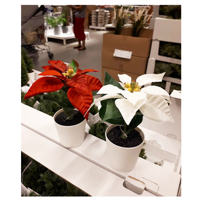 Artificial Plant - Poinsettia Red - 6cm