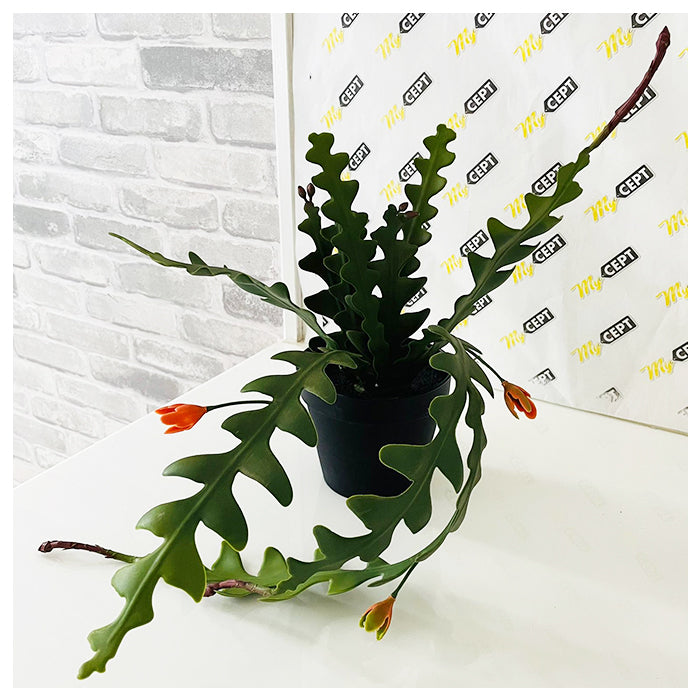 Artificial Plant - Hanging Sawcactus