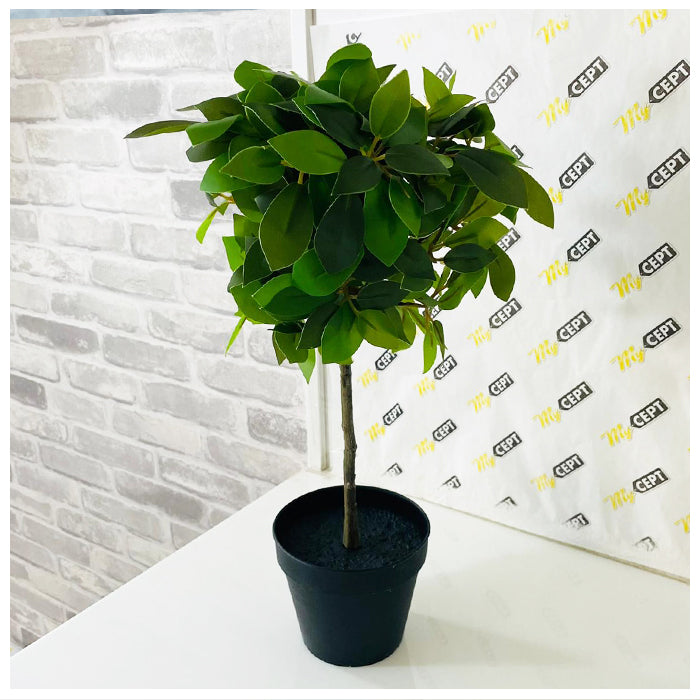 Artificial Plant Weeping Fig