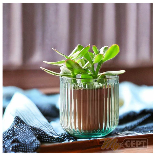 Plant Pot Green 9cm