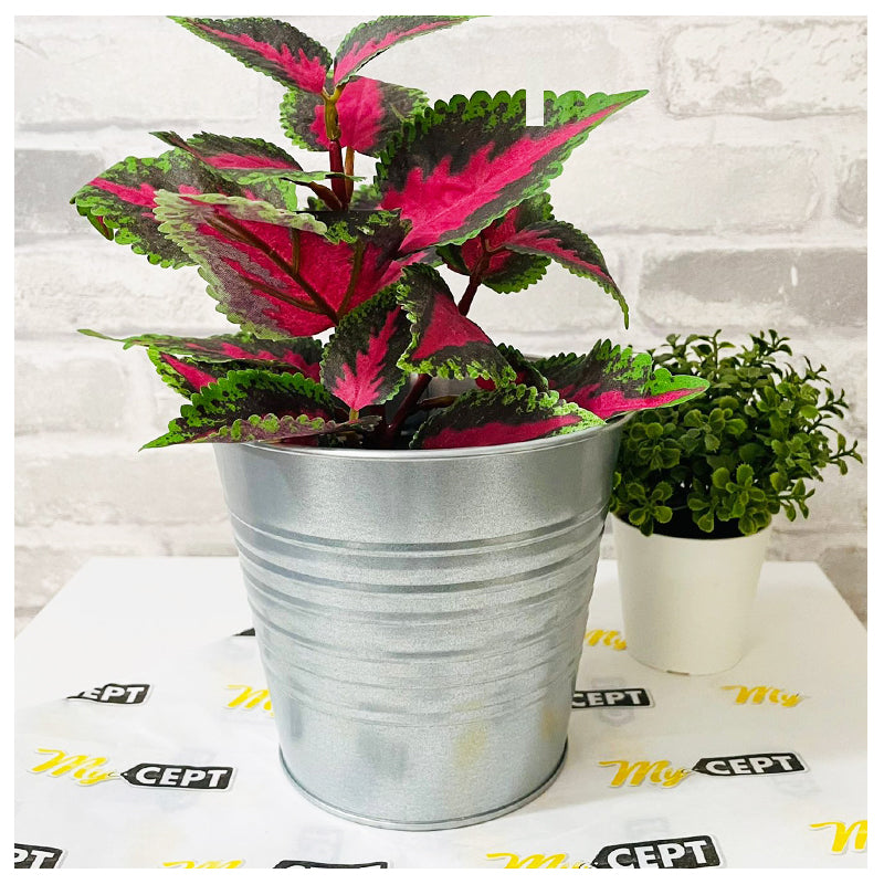 Plant Pot Silver 12cm
