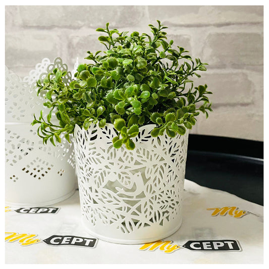 Plant Pot - White